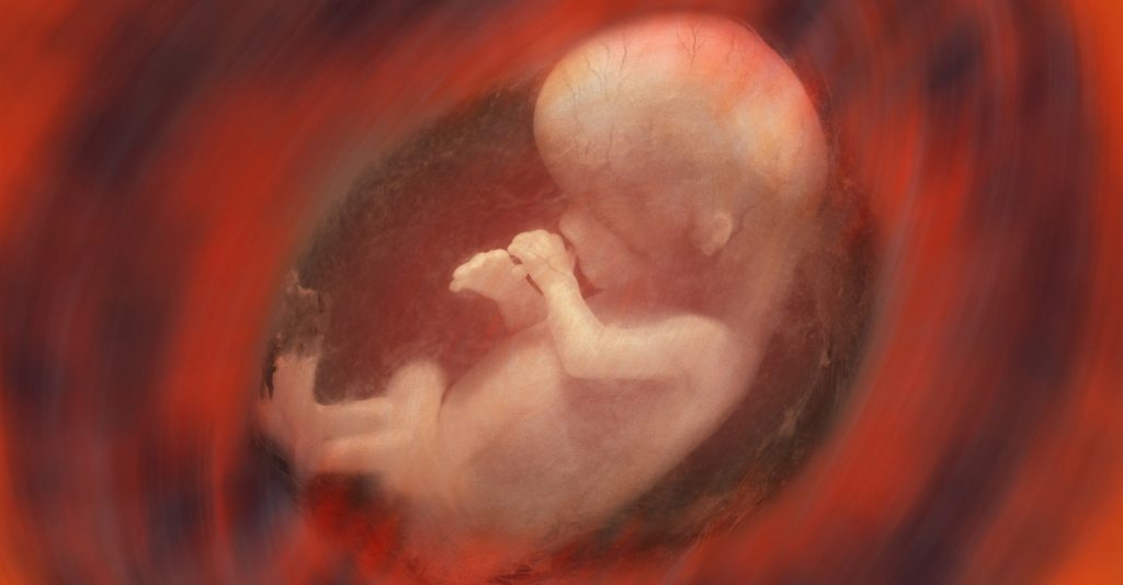 Dangerosités des injections Covid-19 pour les mères et les bébés car elles s’accumulent dans les ovaires et attaquent le placenta, selon l’ancien scientifique en chef de Pfizer R&D