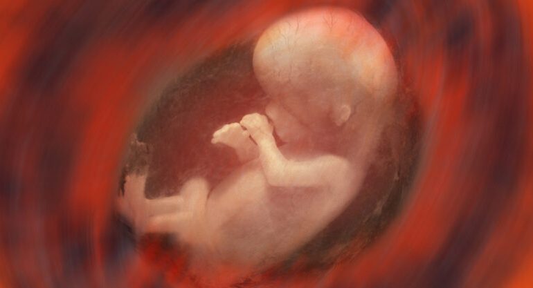 Las inyecciones contra el Covid-19 son peligrosas para las madres y sus bebés, se concentran en los ovarios y atacan la placenta, según el ex Jefe Científico de Pfizer R&D