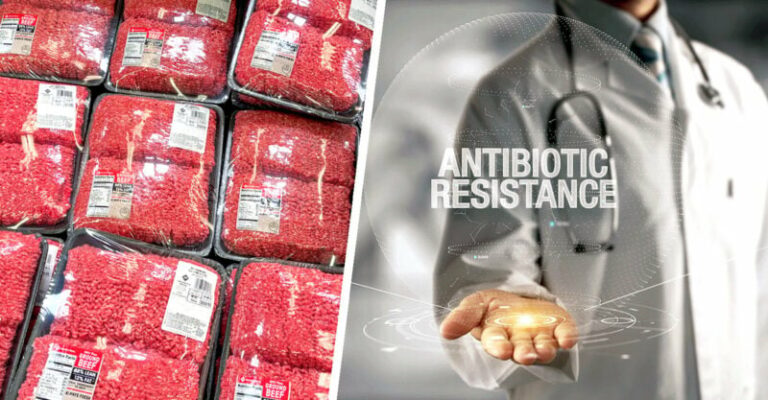 Mislite, da se količina antibiotikov v hrani zmanjšuje? Premislite še enkrat