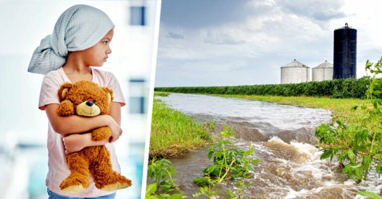 Krebserkrankungen bei Kindern und Geburtsfehler nehmen in den Staaten zu, in denen große Agrarunternehmen die Wasserversorgung verschmutzen