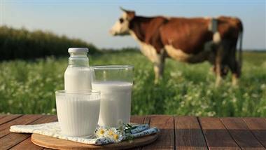 Surovo mleko znova na “razpotju”