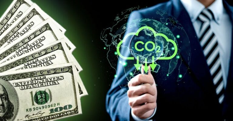 Koldioxidkompensationer en ”bluff” – här är varför